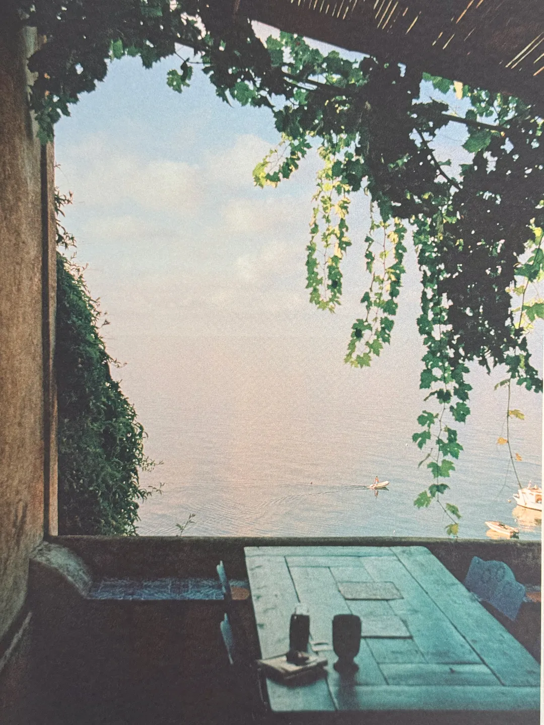 Vine-shaded table looking out over a hazy sea