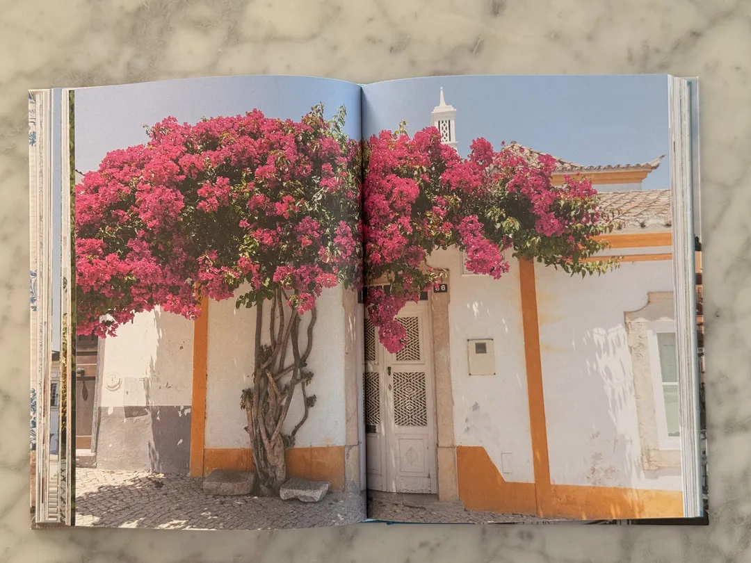 Pink bougainvillea over a whitewashed house with ochre trim