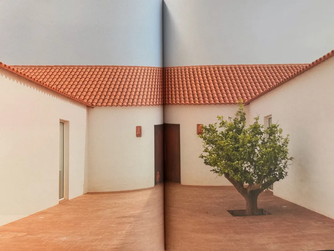 Whitewashed courtyard with a tiled roof and a single orange tree