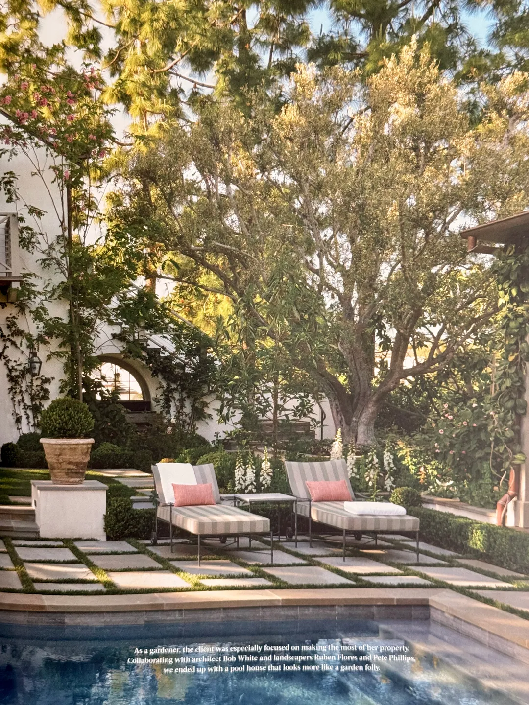 Garden pool with striped loungers beneath a large old tree